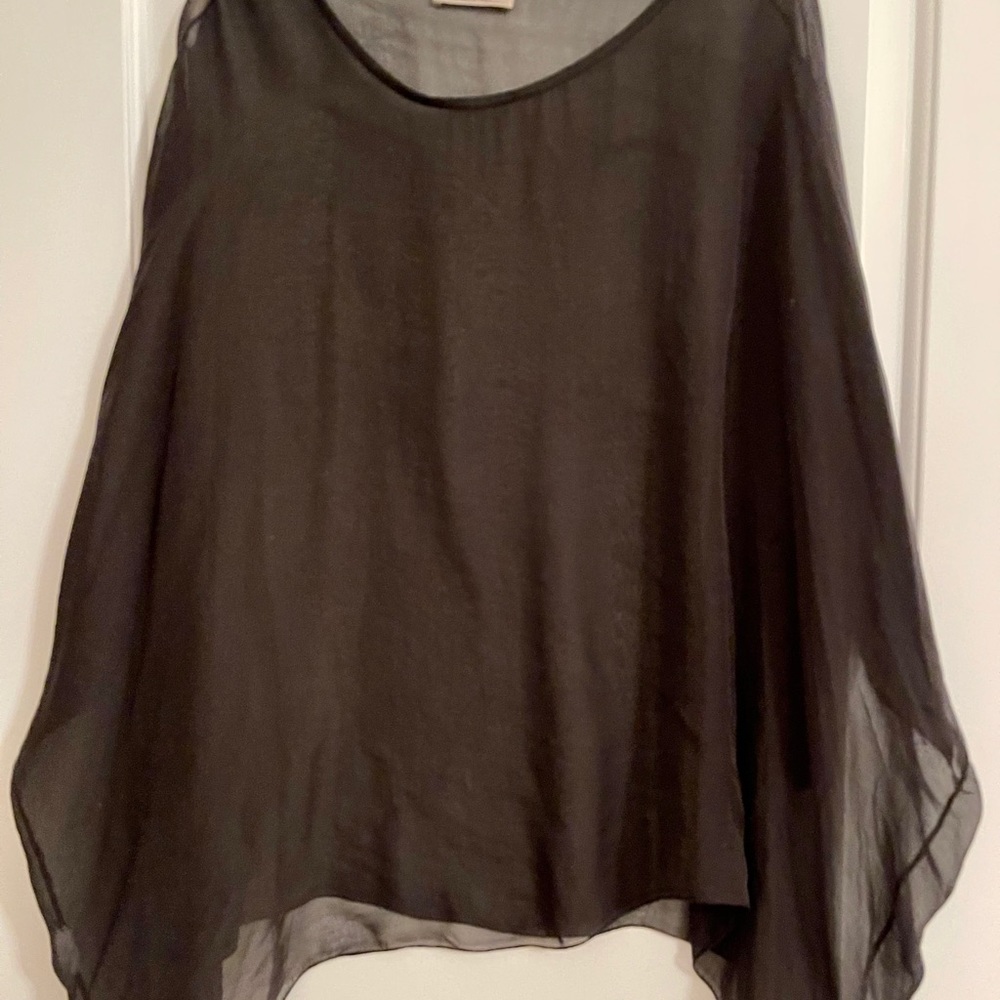 🔥HOST PICK!🔥 Sofia Sheer, Elegant Black Top! Bat Wings!